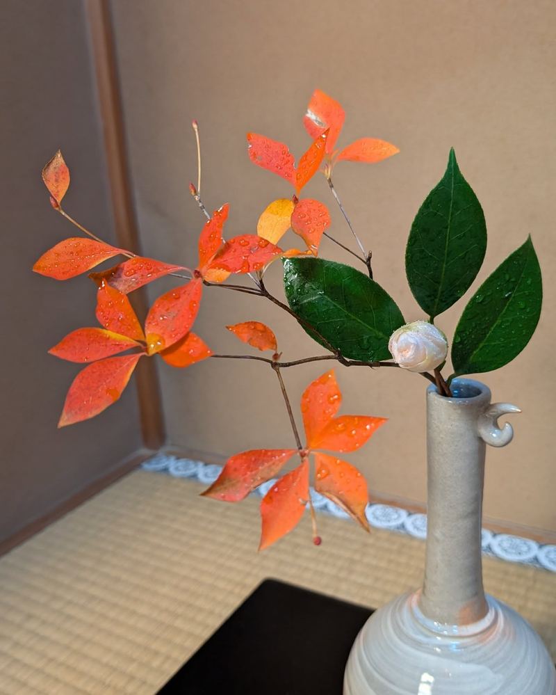 床の茶花(南天と椿)